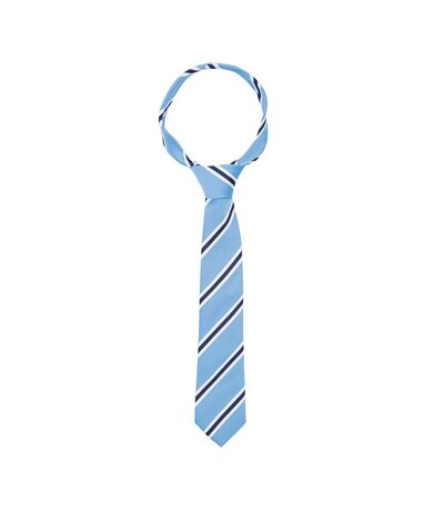 Supreme Products Unisex Adult Stripe Show Tie (Blue/Navy) (One Size)