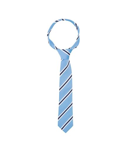 Supreme Products Unisex Adult Stripe Show Tie (Blue/Navy) (One Size) - UTBZ4626