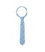 Supreme Products Unisex Adult Stripe Show Tie (Blue/Navy) (One Size) - UTBZ4626