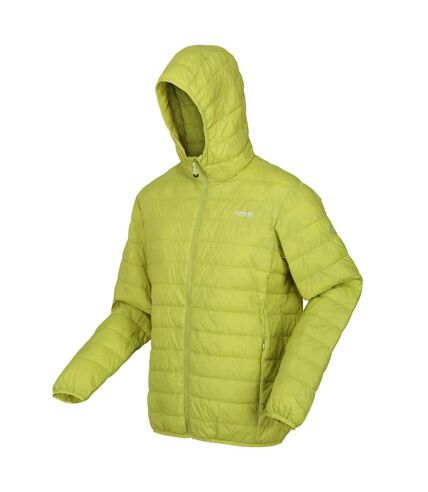 Regatta Mens Hillpack Hooded Lightweight Jacket (Green Algae)