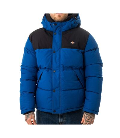 Doudoune Bleu Homme Dickies Glacier View Coat