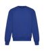 Sweat Signature Adulte Bleu Roi Vif Awdis-1