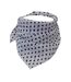 Petit Foulard parsemé de pois-2