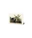John James Audubon - Imprimé GREEN HERON (Vert / Marron) (20 cm x 29,5 cm) - UTPM4292