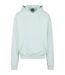 Sweat À Capuche Homme Menthe Clair Urban Classics-1