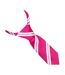 Supreme Products Unisex Adult Stripe Show Tie (Pink) (One Size) - UTBZ4626