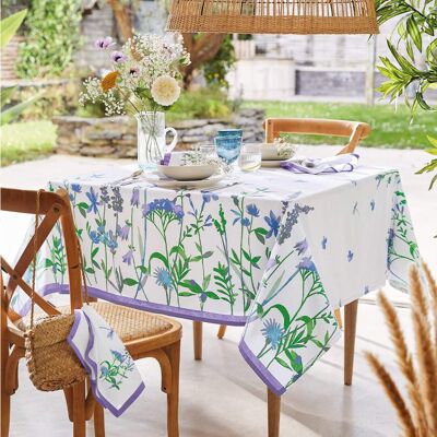 Fleur d'alpage