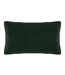 Evans Lichfield Chatsworth Aviary Velvet Piped Throw Pillow Cover (Sage) (50cm x 30cm)