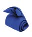 Cravate Taille Unique Bleu Roi Premier-2