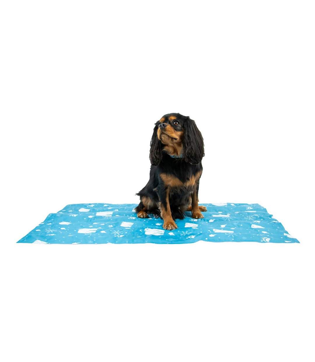 Ice paws dog cooling mat 90cm x 60cm blue/white Ancol-1