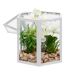 Terrarium Cage Déco Fleur de Rose 23cm Blanc-2