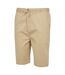 Mens aldan chino shorts oat Regatta