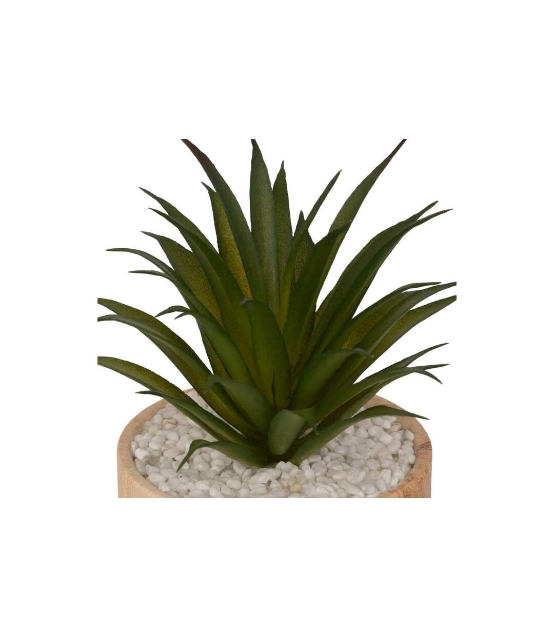 Plante Artificielle en Pot Sao 17cm Marron-2