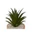 Plante Artificielle en Pot Sao 17cm Marron-2