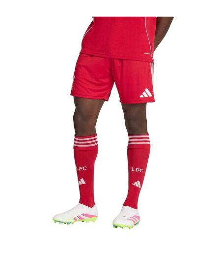Short De Foot Motif/style Liverpool Fc 2025/2026 Homme Rouge Adidas
