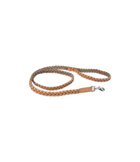 Laisse pour Chien en Cuir Tressé 120cm Naturel