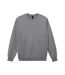 Unisex Adult Hammer Maxweight Crew Neck Sweatshirt Gravel Gildan-1