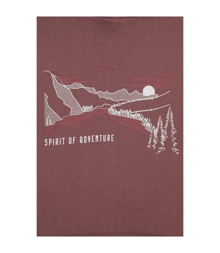 Sweat À Capuche Spirit Of Adventure Homme Marron Mountain Warehouse