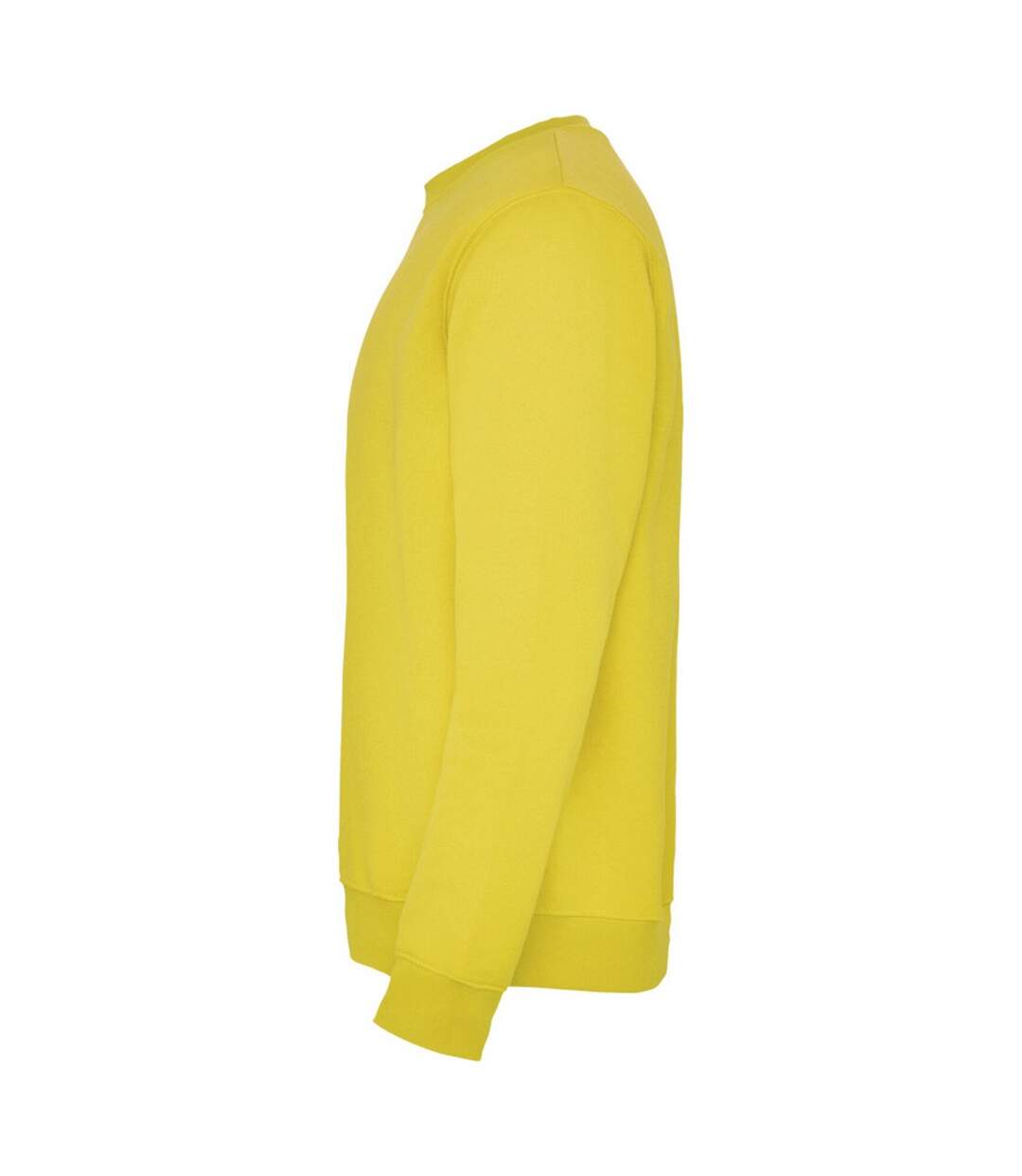 Sweat clasica adulte jaune Roly-4