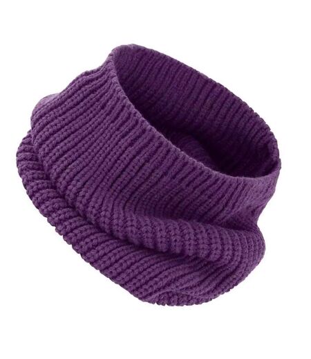 Snood Capuche Whistler Taille Unique Violet Result Winter Essentials