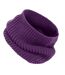 Snood Capuche Whistler Taille Unique Violet Result Winter Essentials-2