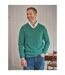 Mens Cashmere V Neck Jumper Dark Mint Marl WoolOvers-1
