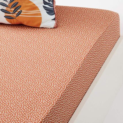 Drap-housse