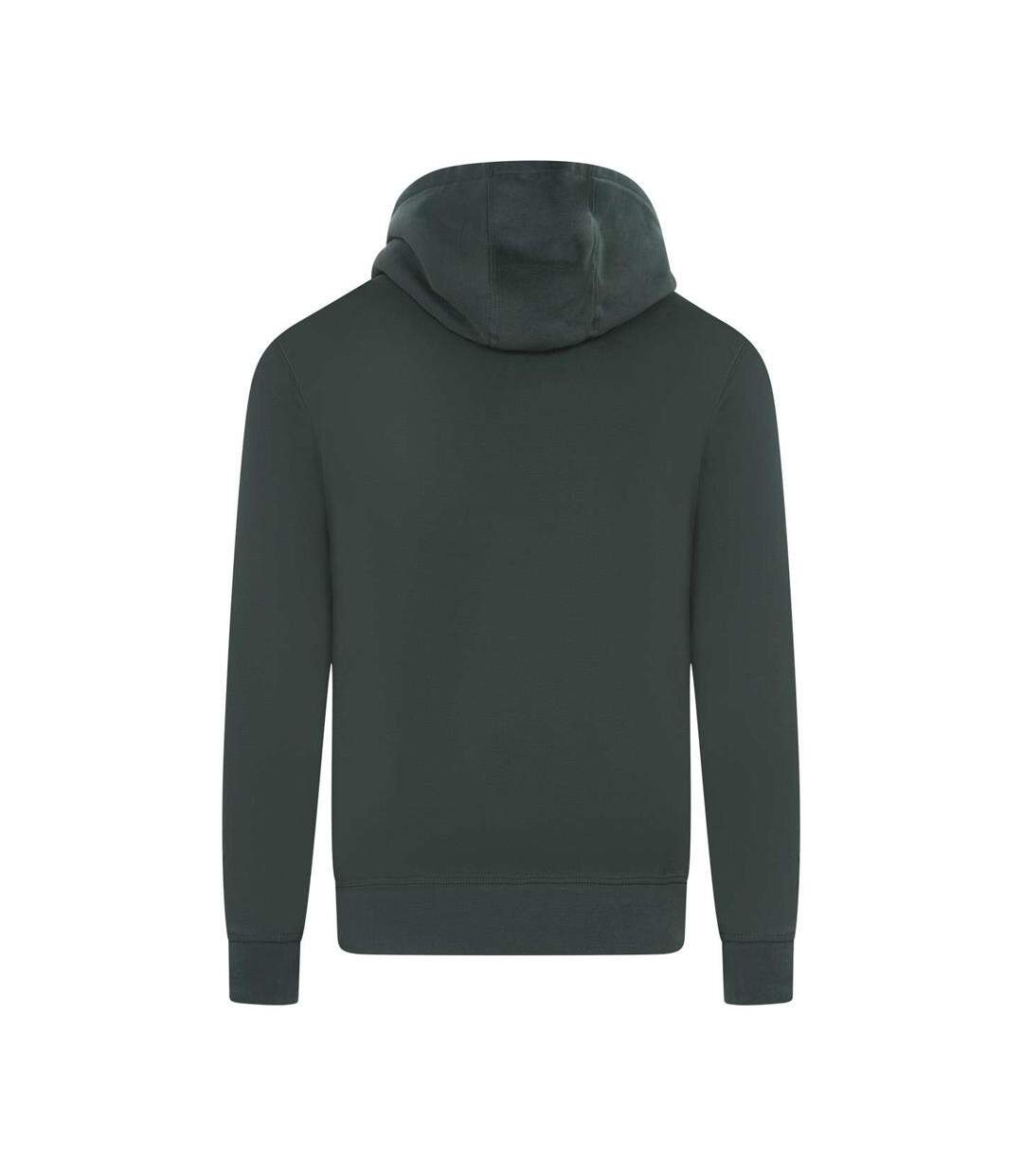 Sweat à capuche vert homme teddy smith nark hoody-2