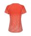 Womens/ladies ombre t-shirt satsuma Regatta