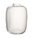 Vase Design en Verre Cleo 35cm Transparent-1