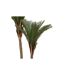 Palmier Artificiel 2 Troncs Tropical Boudoir 180cm Vert-2