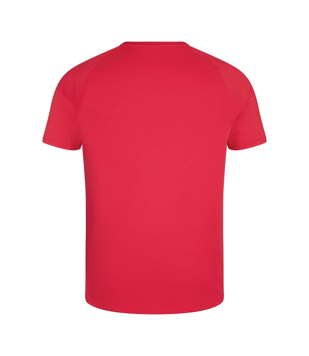 Mens Big Logo Super Light T-shirt Flag Red Canterbury-2