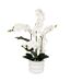 Orchidée Artificielle en Pot Mick 80cm Blanc-1