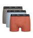 Lot de 3 Boxers Coton Strech