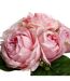 Bouquet de Fleurs 9 Roses 30cm Rose-2