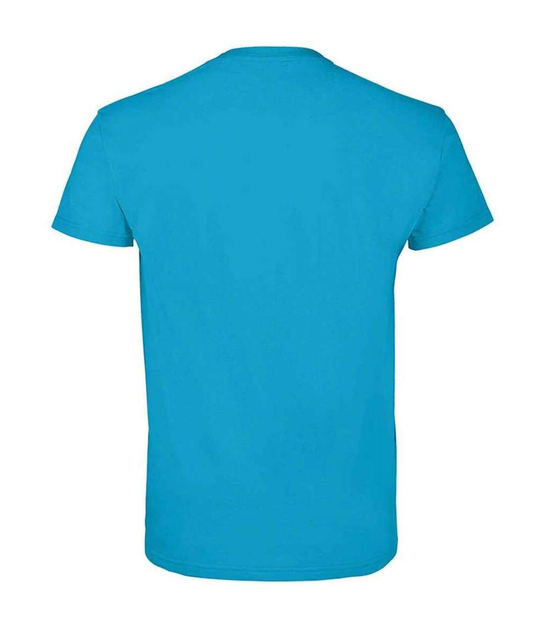 Unisex adult imperial heavy t-shirt aqua SOLS-2