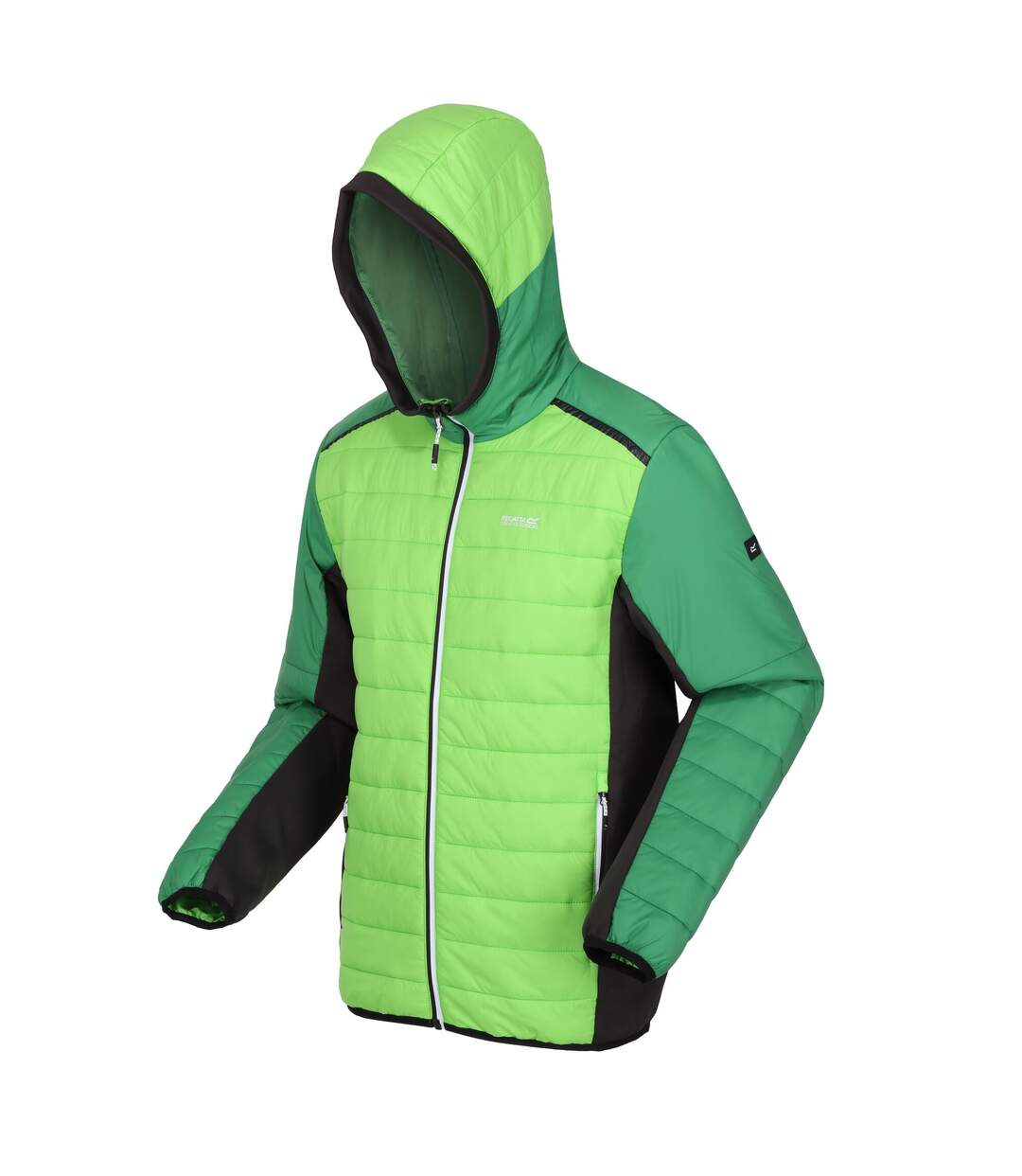 Doudoune Matelassée Trutton Homme Vert Jasmin Vert Des Champs Regatta-3