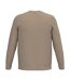 Pull Homme Beige Spasso-2