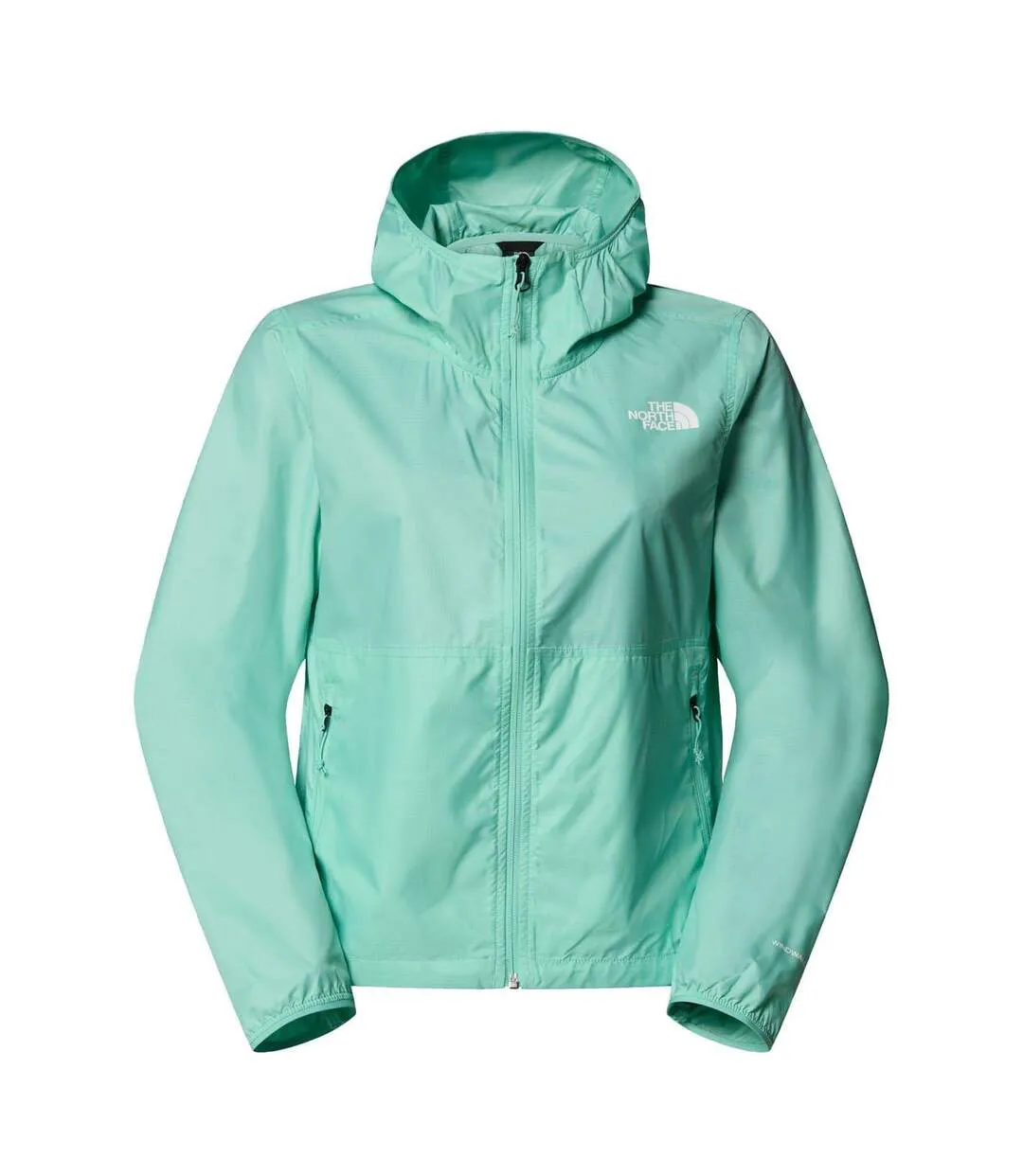Veste À Capuche Motif/style Logo Femme Turquoise Vif The North Face-1