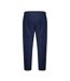 Mens Twin Stripe Tracksuit Bottoms Navy Lonsdale-2