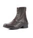 Moretta Womens/Ladies Alessia Grain Leather Paddock Boots (Brown)