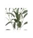 Fleur Artificielle Tige Eucalyptus 94cm Vert-2