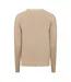 Mens Relaxed Fit Jumper Brown Replay-2
