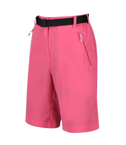 Regatta Womens/Ladies Xert Stretch Shorts (Fruit Dove) - UTRG7249