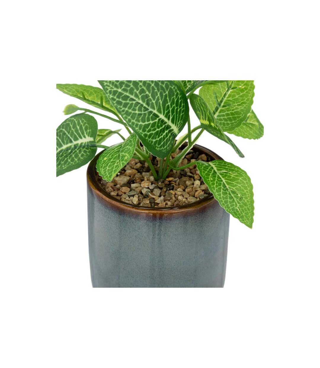 Plante Artificielle en Pot Reac 16cm Bleu & Vert-2