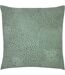 Furn Hidden Cheetah Throw Pillow Cover (Sage Green) (One Size) - UTRV2112