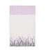 Lot de 3 Torchons Garrigue 45x70cm Blanc-2