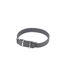 Collier pour Chien Design Uni 30cm Anthracite-1