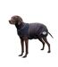 Comfitec ultra cozi medium lightweight dog coat 25cm charcoal/blue/white Weatherbeeta