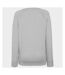 Fruit OF The Loom Ladies Fitted Lightweight Raglan Sweatshirt (240 GSM) (White) - UTBC2656